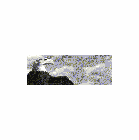 Ultrafine Silver Eagle Fiber Base VariGrade DW Matte 8 x 10 / 100