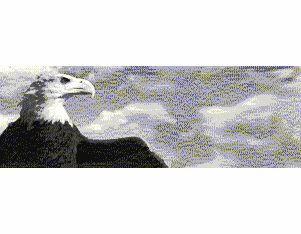 Ultrafine Silver Eagle Fiber Base VariGrade DW Matte 8 x 10 / 100
