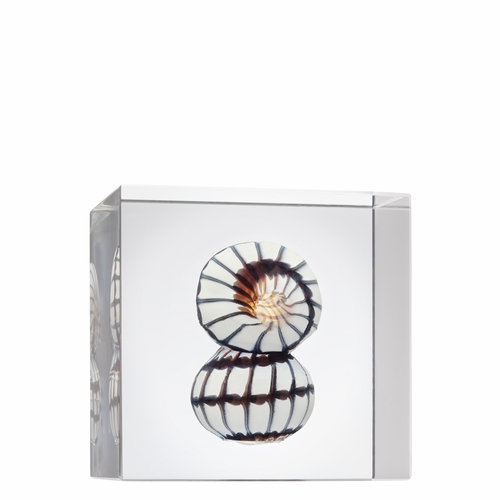 Annual Cube 2022 - 3.35" x 3.15"