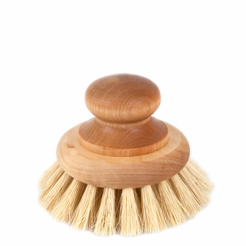 Pan Brush, Tampico