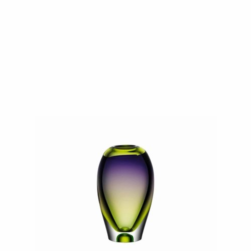 Vision Vase - Green/Purple