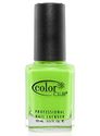 Color Club Nail Polish, The Lime Starts Here AFN02 Color Club Nail Polish, The Lime Starts Here AFN02