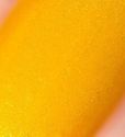 Essie Nail Polish, Aim to Misbehave 1000 Essie Nail Polish, Aim to Misbehave 1000
