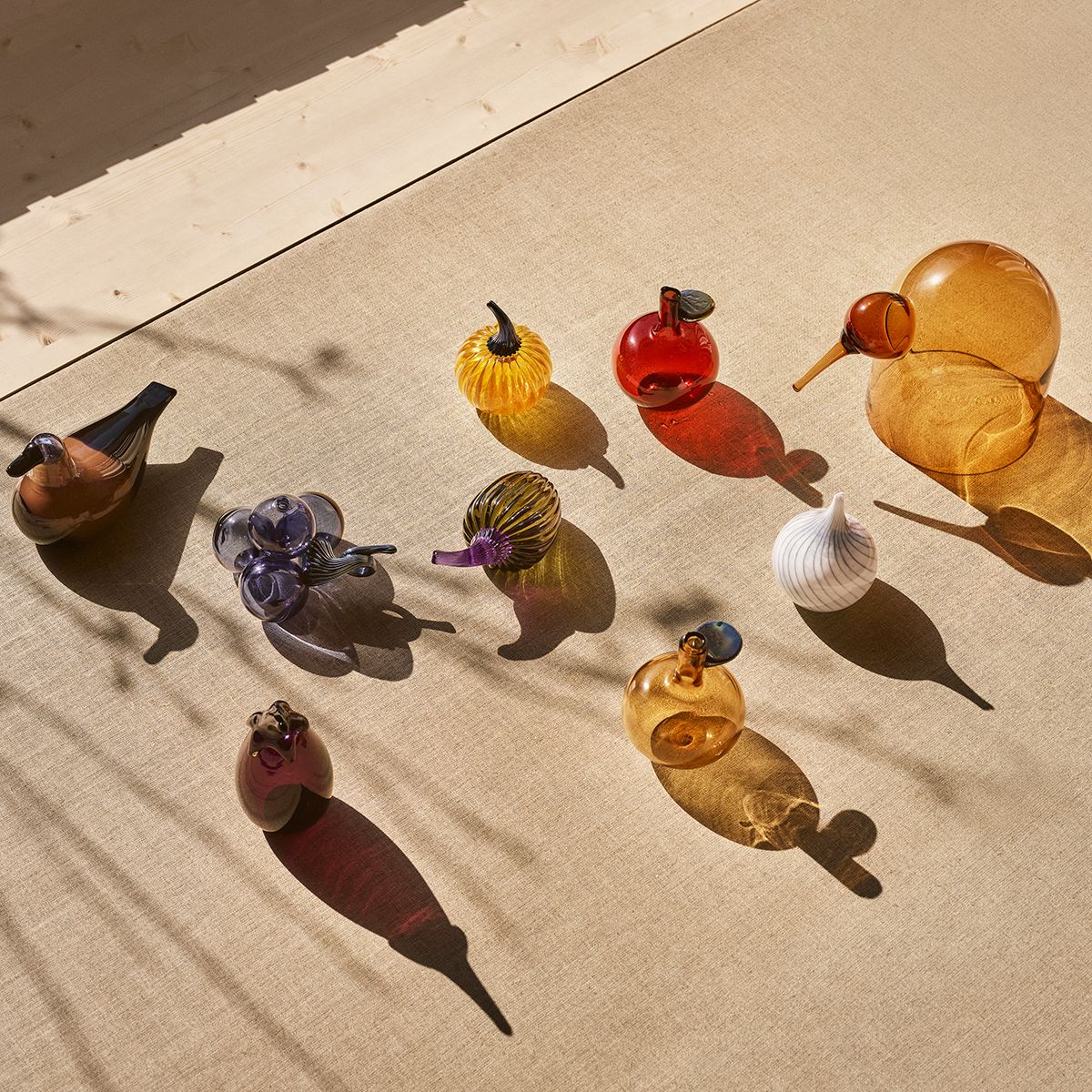 2020年 アニュアルバード オイバトイッカ イッタラバード イッタラ