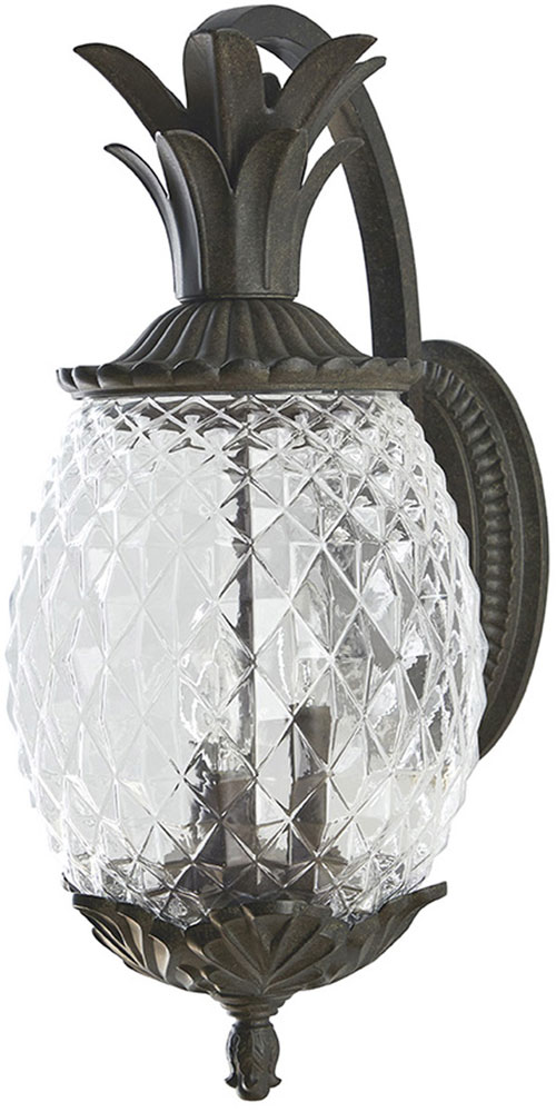 Acclaim Lighting 7512BC Lanai Black Coral Outdoor Light Sconce ACL7512BC