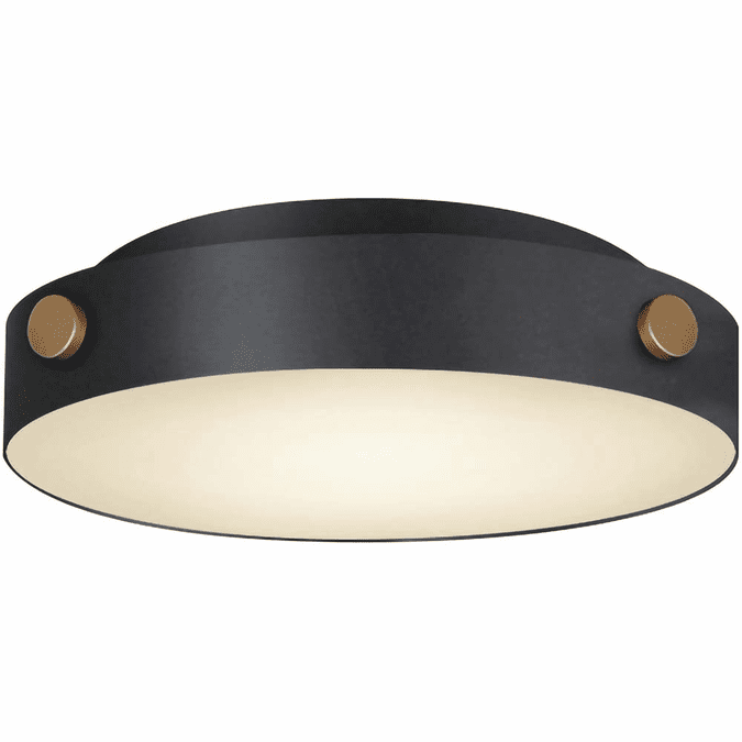 Maxim 42129BKAB Rivet Modern Black / Antique Brass LED Outdoor Ceiling