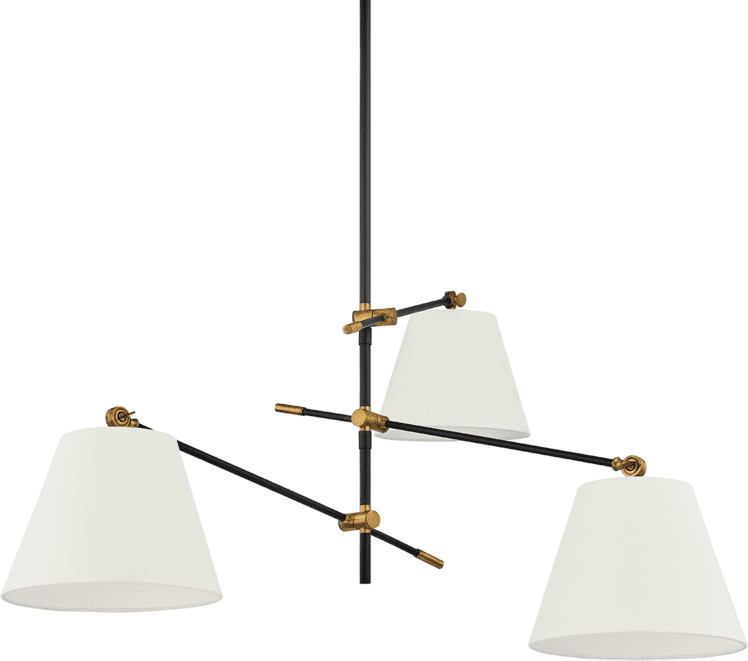 Troy F2653PBR/TBK Navin Modern Patina Brass Lighting Chandelier TRO