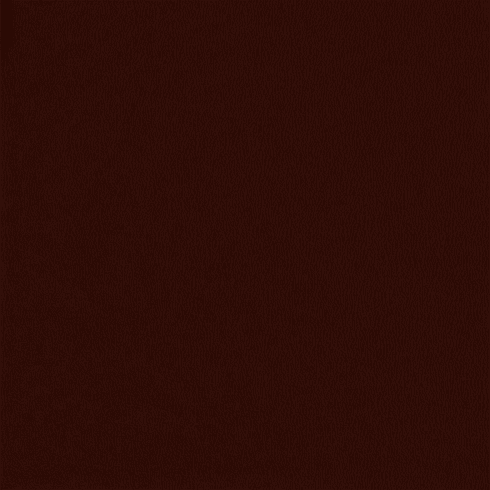 All Star Burgundy