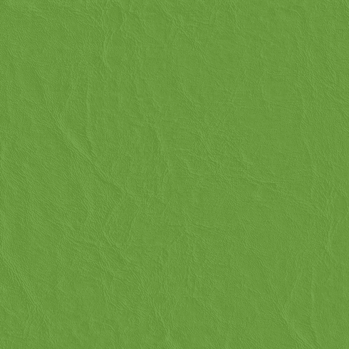 Capitano Parakeet