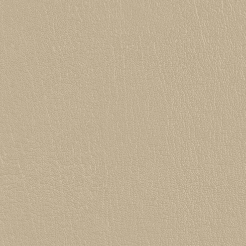 ColorGuard Beige