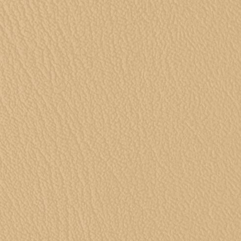 ColorGuard Coffee Cream