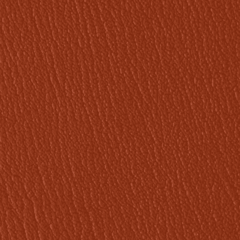 ColorGuard Deep Clay