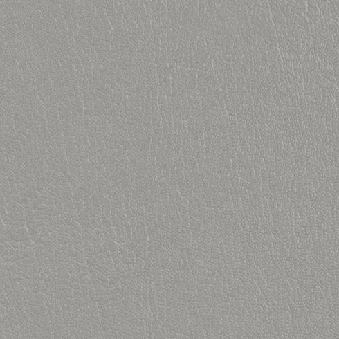 ColorGuard Gray