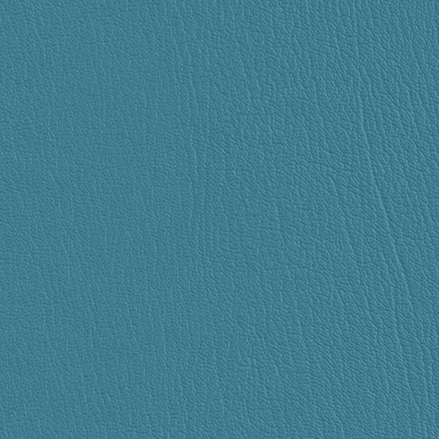 ColorGuard Horizon Blue