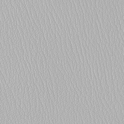 ColorGuard Lite Gray