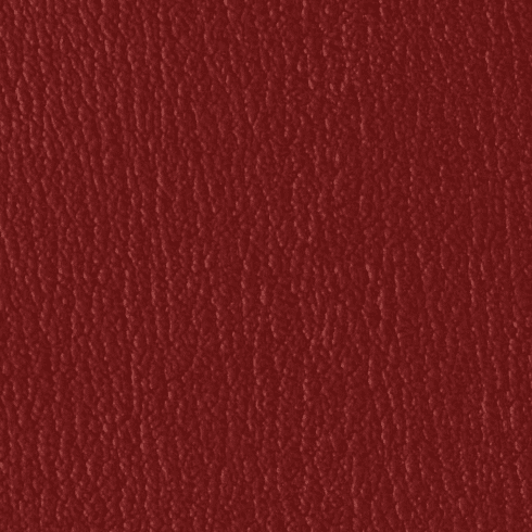 ColorGuard New Burgundy