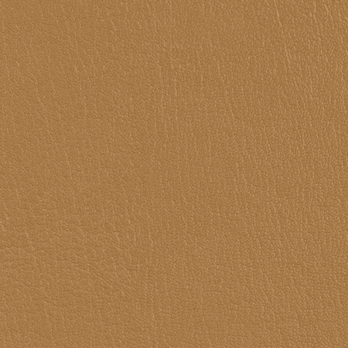 ColorGuard Saddle Tan