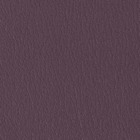 ColorGuard Wood Violet