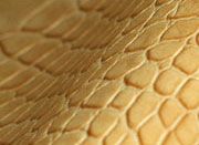 Crocodile Print Faux Leathers
