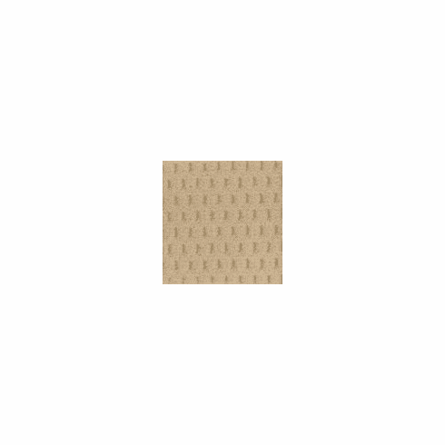 Jupiter Auto Cloth "Tan" (Pattern)