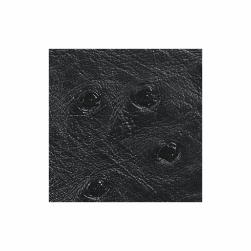 Nuvtex Big Bird "Black"
