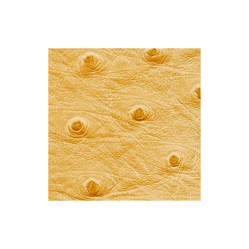 Nuvtex Big Bird "Sunflower"