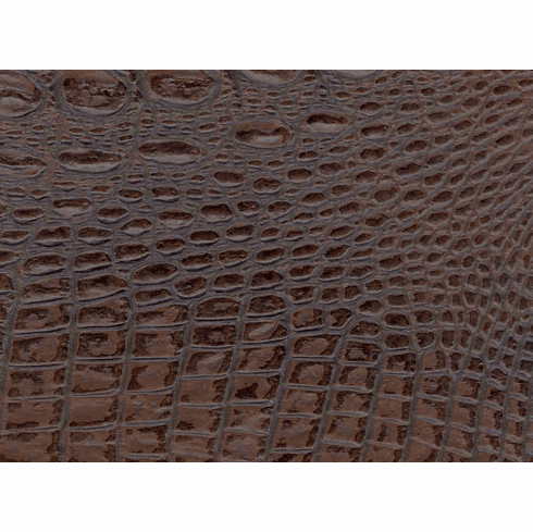 Outback Crocodile "Mocha"