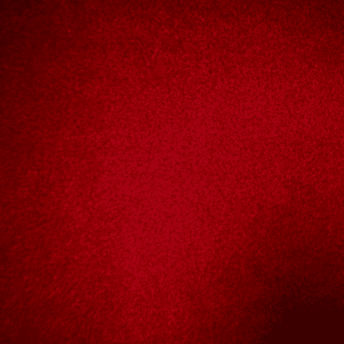 Plush Burgundy