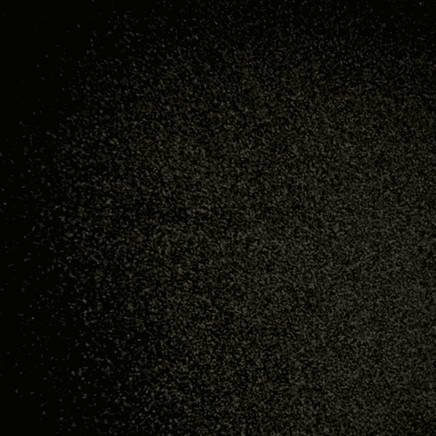 Plush Velvet Black