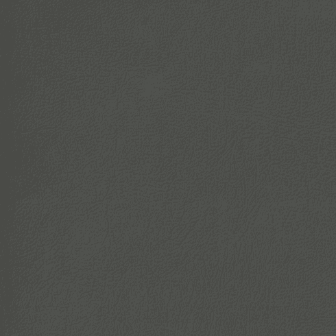 Revolution Caprice Dark Khaki