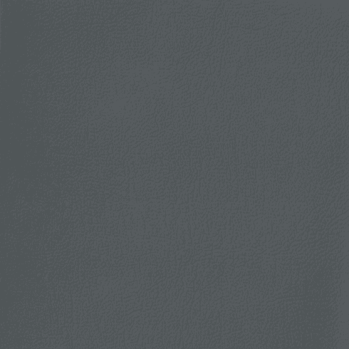 Revolution Caprice Medium Slate