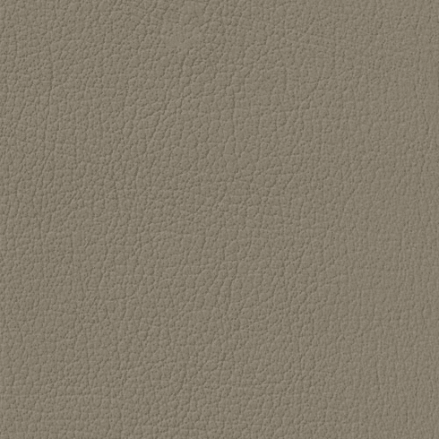 Revolution G-Grain Medium Parchment