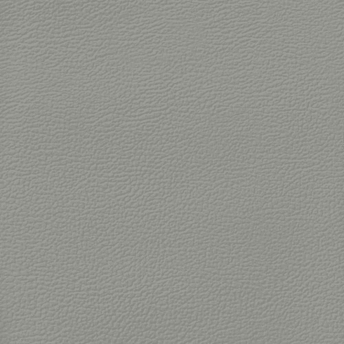 Revolution Longitude Light Titanium