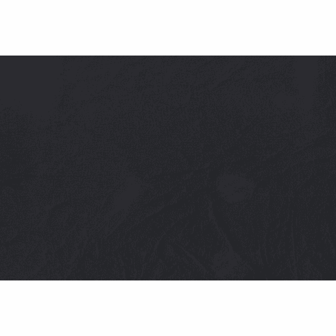 Rogue "Black"