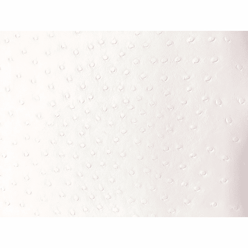 Safari Ostrich White