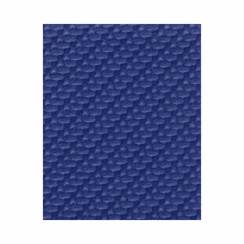 Shock Carbon Fiber "Horse Power" Blue