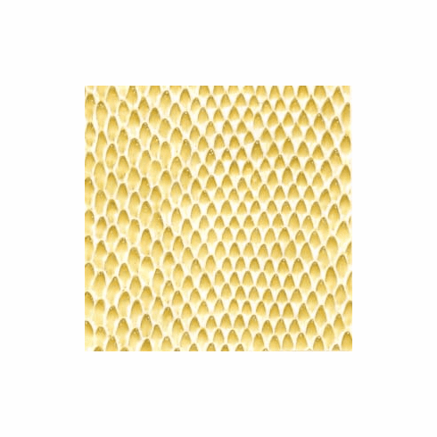 Skintex SF Exotic "Buff"