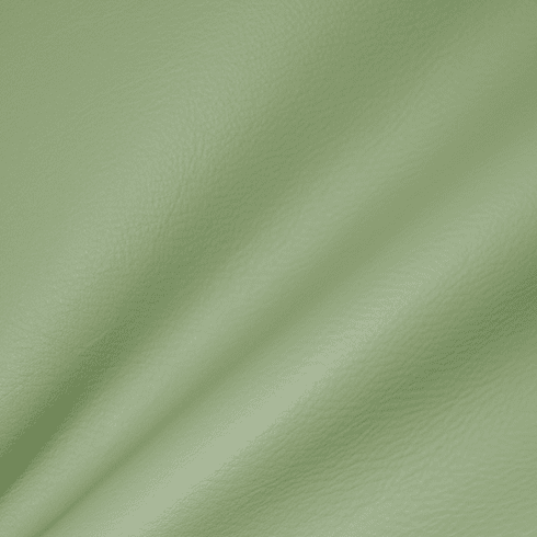 Supple Chrome Free Leather Hide Color 08021