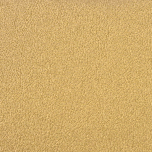 Symphony Classic Cashew