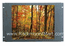 LCDR7U17-07 7U Rackmount 17" SAMSUNG TFT LCD Monitor with High Contrast Ratio ( Made In U.S.A.)