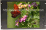 LCDR7U17-09 7U Rack Mount 17" TFT LCD Monitor with Optional Lexan Shield (Made in USA)