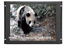 LCDR8U19-05 8U Rackmount 19" TFT LCD Monitor optional Lexan / Composite Video / DVI / ARGB ( Made in USA )