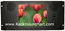 LCDR5U10-03 5U Rackmount 10.4" TFT LCD Monitor optional Composite Video / DVI / ARGB inputs ( Made in USA )